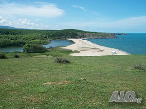 image_34
