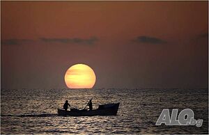 image_36