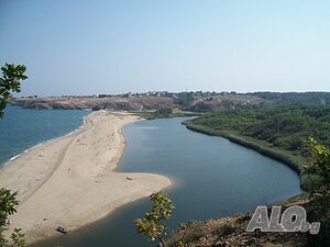 image_37