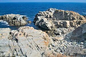 image_26