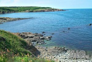 image_27
