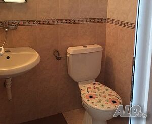 image_8