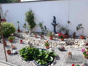 image_13