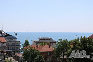 image_15