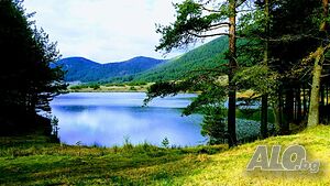image_8
