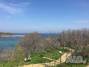 image_11