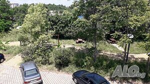 image_21