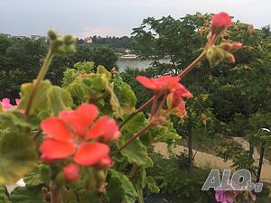 image_26