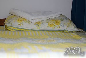 image_33