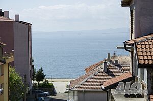 image_19