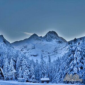 image_25