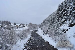image_23