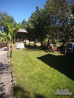 image_20