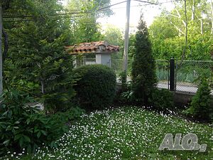 image_28