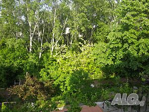 image_29