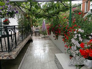 image_31