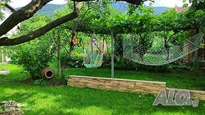 image_45