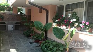 image_6