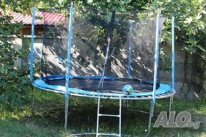 image_6
