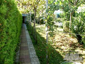 image_8