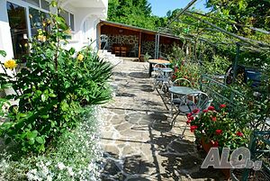 image_8