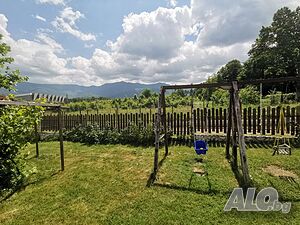 image_29