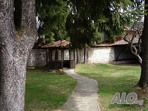 image_6