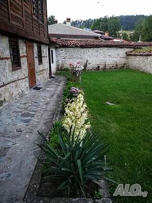 image_11
