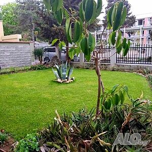 image_11