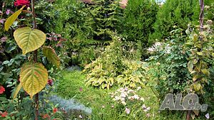 image_14