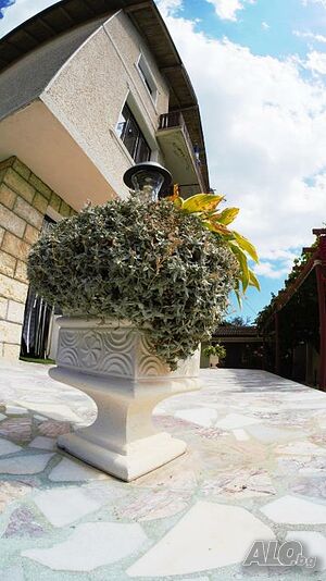image_25