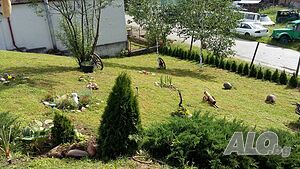 image_20