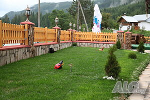 image_4