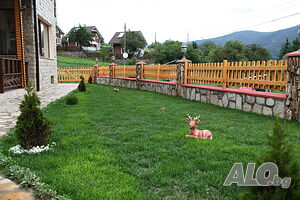 image_5