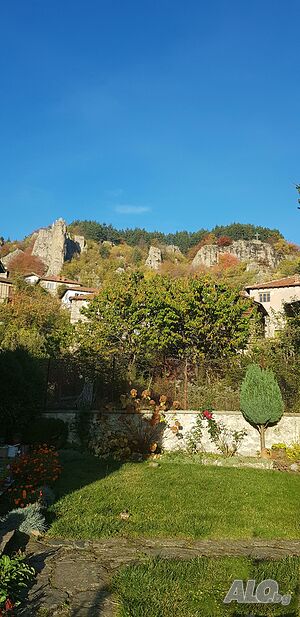 image_9
