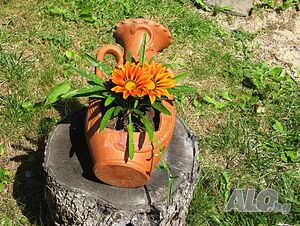 image_42