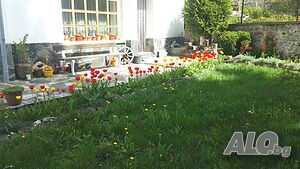 image_43