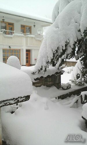 image_45