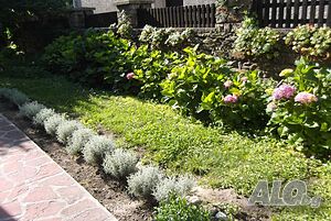 image_38