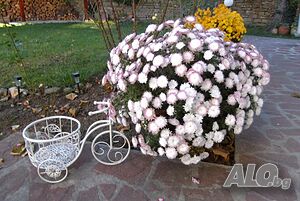 image_39