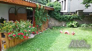 image_40