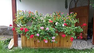 image_41