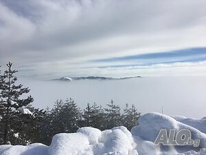 image_9