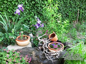 image_32