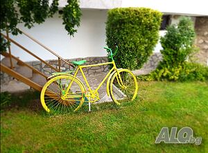 image_5
