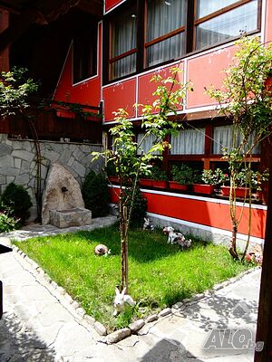 image_2