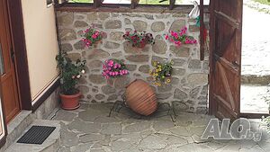 image_38