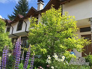 image_14