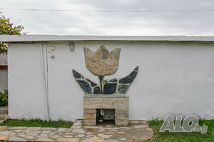 image_5