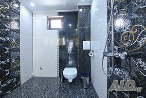 image_36